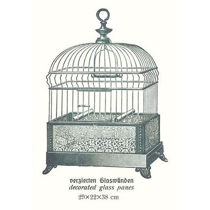 Ornate Green Bird Cage B 20 x 30 Poster