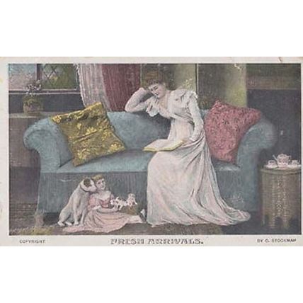 New Arrivals Puppy Puppies Being Born Antique Postcard