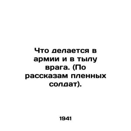 What is being done in the army and in the enemys rear. In Russian /Chto delaets