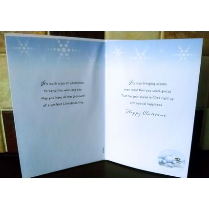 Cute Christmas Cards - For You Nannie - Glitter Card - 001