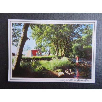 Harford Bridge Holiday Park, Tavistock, Devon Postcard