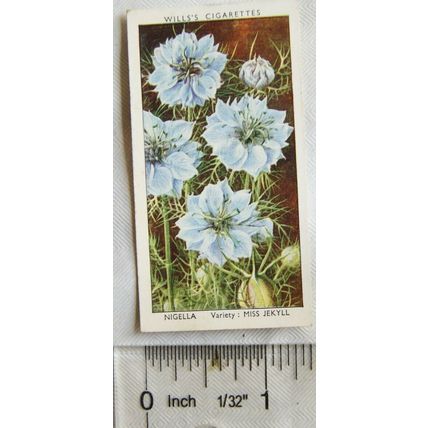 1939 Wills Garden Flowers No. 33 Nigella