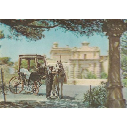Maltese Cab Taxi Horse 3D Three Dimensional Old Malta Postcard