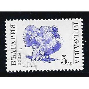 BULGARIA 1991 FARM ANIMALS 5L COMMON TURKEY VIOLET & BLACK SG 3737 FINE USED