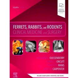 Ferrets Rabbits & Rodents