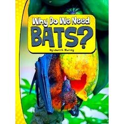 Nature We Need Why Do We Need Bats