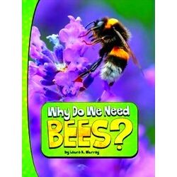Nature We Need Why Do We Need Bees