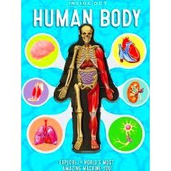 Inside Out Human Body