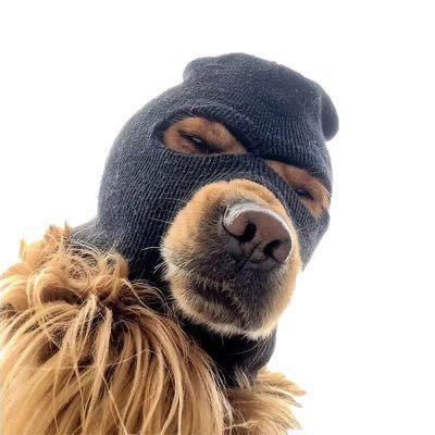 5 Ski Mask Dog (SKI) MINING-CONTRACT Crypto Currency (SKI)