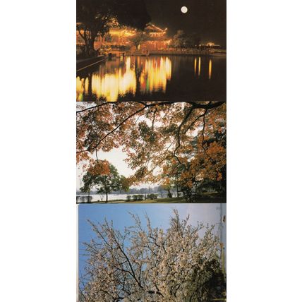 Lake Qiantang River 3x Chinese China Postcard s