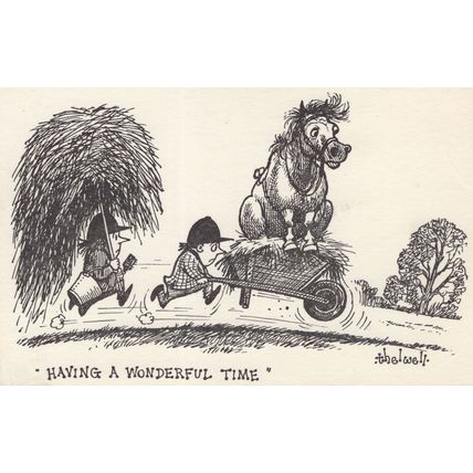 Norman Thelwell Pony Horse Camp Wheelbarrow Transport Postcard