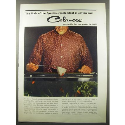 1955 Celanese Acetate Advertisement - shirt by Bucknell of New York