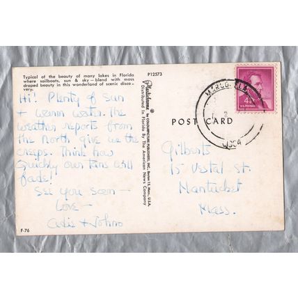 Lake In Florida - Postally Used - Marco FLA Postmark - Plastichrome Postcard