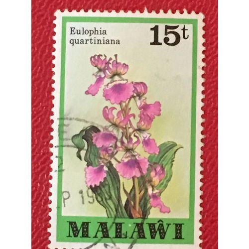 Malawi 1979 15t Eulophia Quartiniana Orchid Used SG 583 Sc 333 Stamp flower