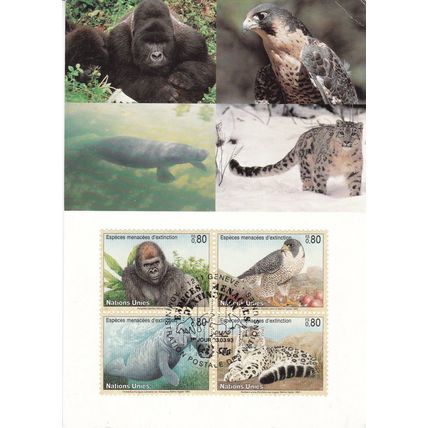 United Nations Geneva 1993 Wildlife Maximum Card FDI special cancel Unaddressed