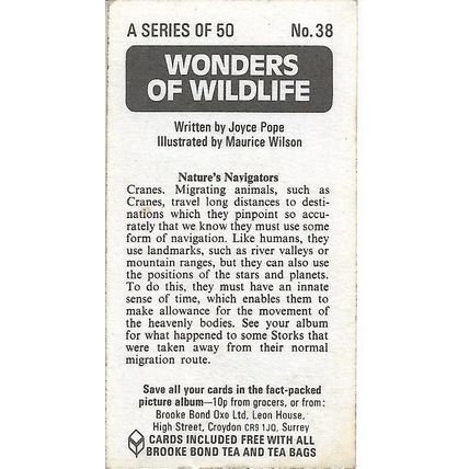 Wonders of Wildlife 1976 Brooke Bond Tea Card 38 - Nature's Navigators