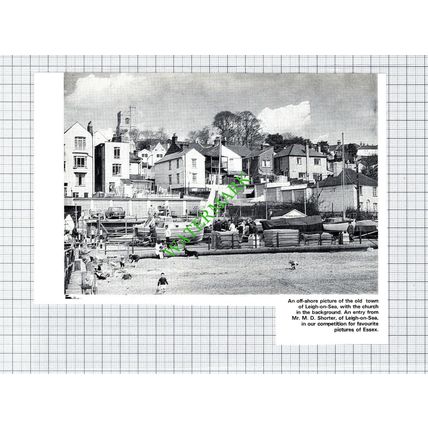 Leigh on Sea Essex - 1971 Cutting