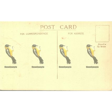 Harlyn Bay, Nr Padstow, Cornwall, 11597 Postcard