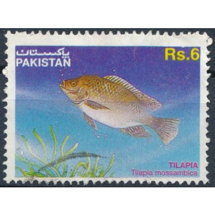 Fish: Tilapia - Pakistan 1995 - F H - SG 964