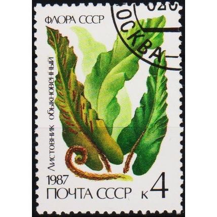 Russia. 1987 4k S.G.5773 Used