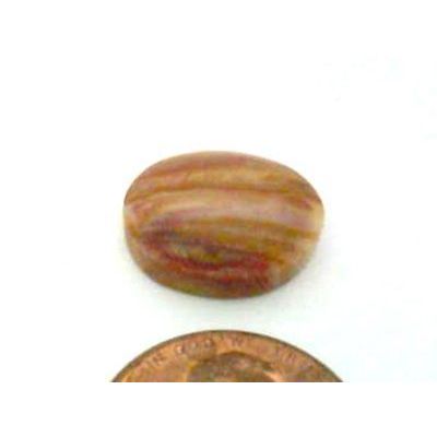 Petrified Wood Freeform Gemstone Cabochon 296