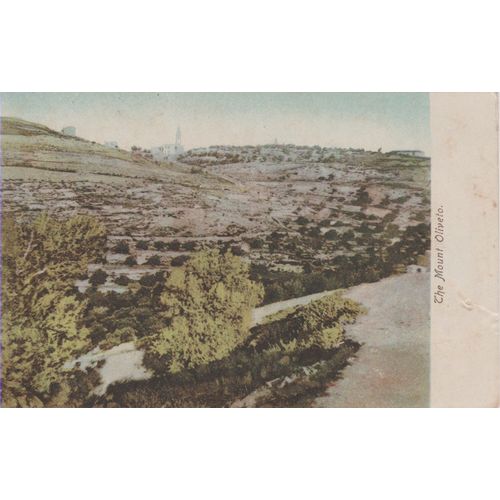 Italy circa 1905 The Mount Oliveto see others