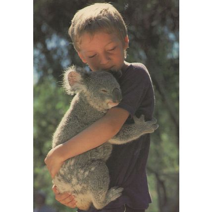 Child With Koala Bear 1980s Rare Postcard