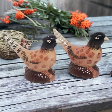 Pheasant Salt & Pepper Shakers - Ceramic - Hand Painted