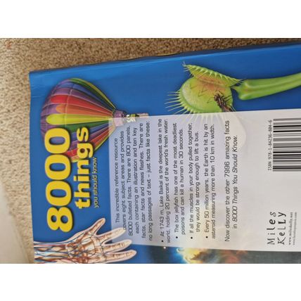 8000Things You Should Know By Belinda Gallagher
