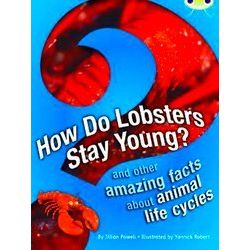 Bug Club Non-Fiction How Do Lobsters Stay Young? Brown A