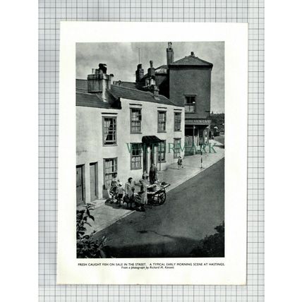 (6619) Hastings Sussex Castle View Cafe - 1955 Cutting