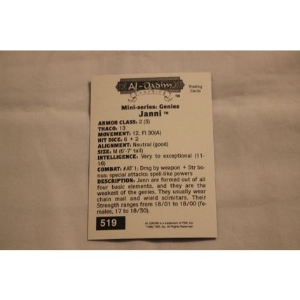 Janni 1992 TSR 2nd Edition Dungeons & Dragons NO.519