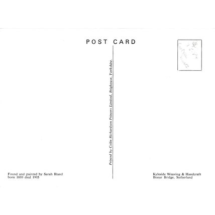 Sarah Bland Yellow Water LilyPostcard unused crease