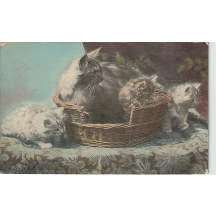 A Cat With Three Kittens In A Wicker Basket Cat Postcard (QAN0011)