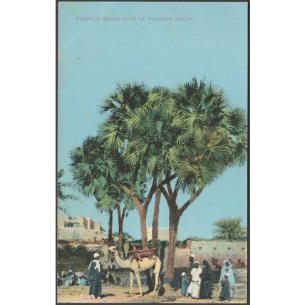 Famille Arabe sous le Palmier Doum, c.1910 - Cairo Postcard Trust CPA