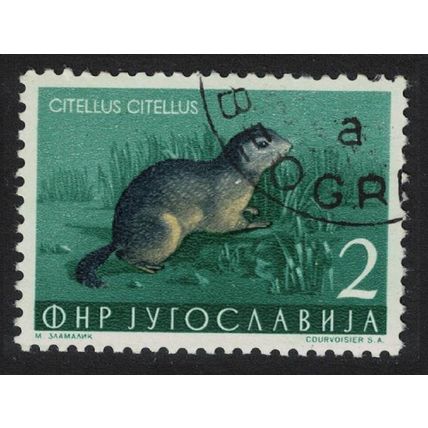 Yugoslavia European Souslik Wild Animal 1954 Canc SG#765 MI#738