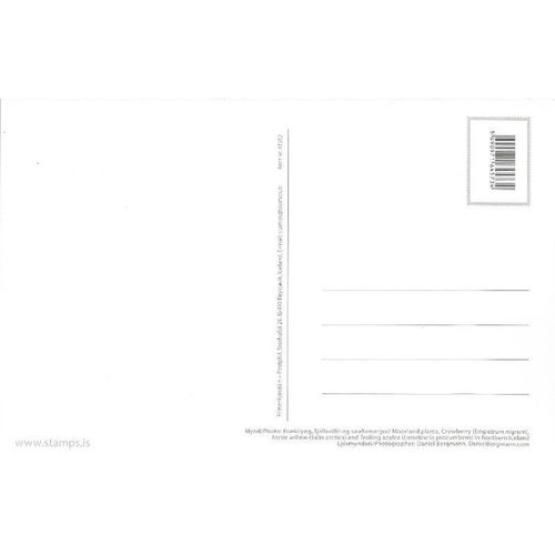K1512: Moorland Plants