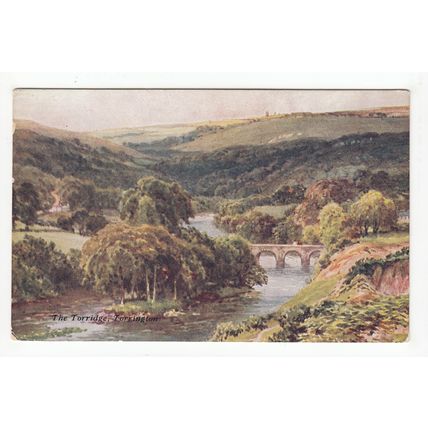 The Torridge Torrington Postcard Devon Art 32a