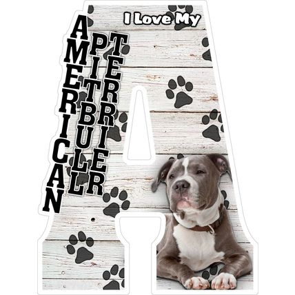 I Love My American Pitbull Terrier Fridge Magnet
