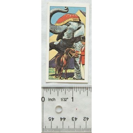 1968 Amaran Tea card The Circus No. 17 Elephant & Pony