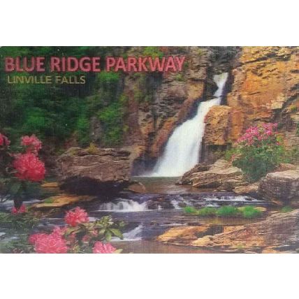 Blue Ridge Parkway Linville Falls with Flowers 3D Fridge Magnet