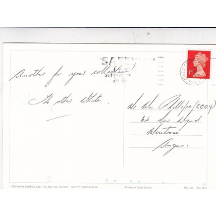 Baby Chimpanzee Postcard posted 1993 VGC