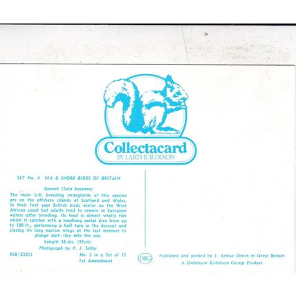 Gannet Postcard unused creased