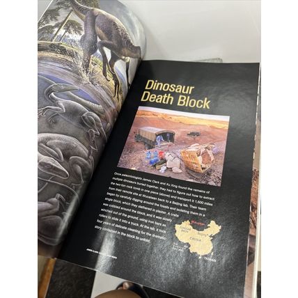 National Geographic Magazine July 2008 Who Murdered Mountain GorillasCollectable