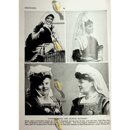 Danish Women's Headdresses (Farming On Back), Book Illustration (Print), c1920