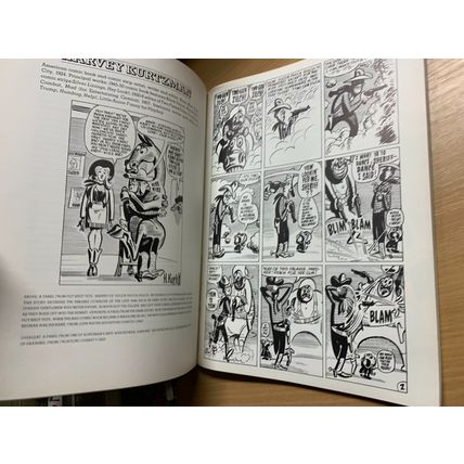 1978 1ST EDITION "MASTERS OF COMIC BOOK ART" HUGE PAPERBACK BOOK (P3)