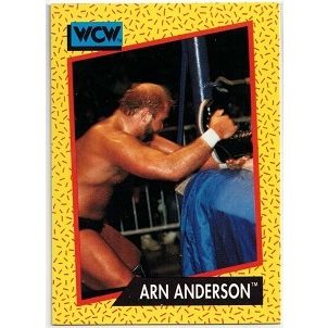 WCW ' ARN ANDERSON ' card # 49 (1991)