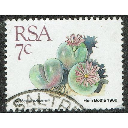 South Africa 1988 Succulents 7c Multicoloured SG657 FU