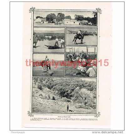 Ranch Life, Book Illustration (Print), c1907