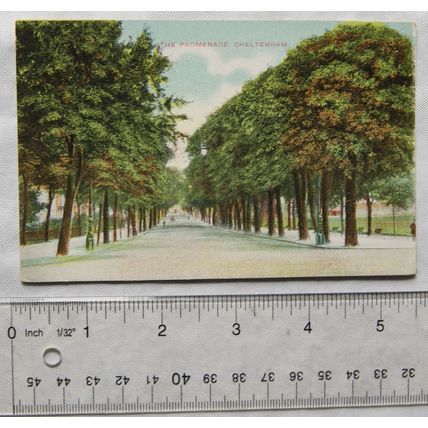 vintage postcard The Promenade Cheltenham